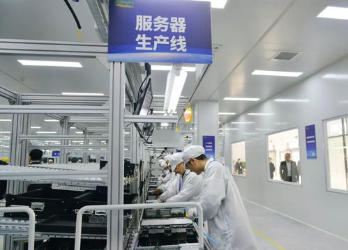 黑馬河南 這一年，不平凡的網(wǎng)絡技術(shù)服務征程